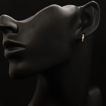 Load image into Gallery viewer, Las Flores Earrings